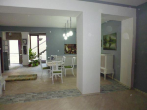 Two Bedroom Apartment In the Center of Tbilisi